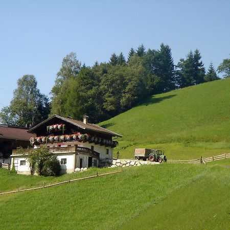 Almliesl MITT-581 Villa Mittersill Exteriör bild