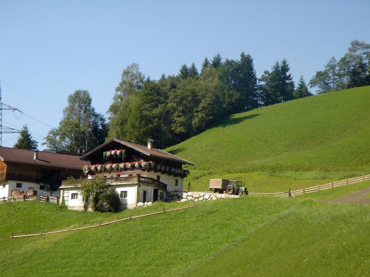Almliesl MITT-581 Villa Mittersill Exteriör bild