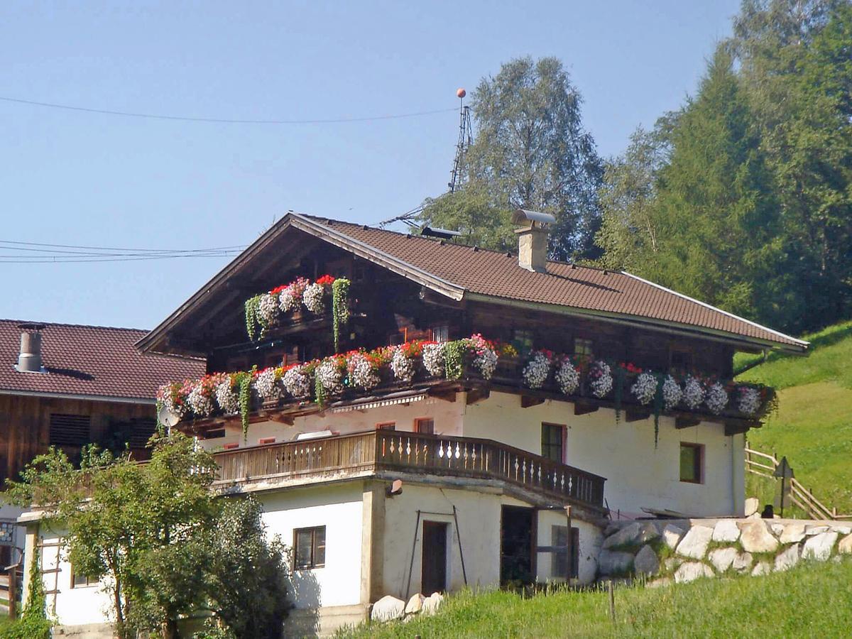 Almliesl MITT-581 Villa Mittersill Exteriör bild